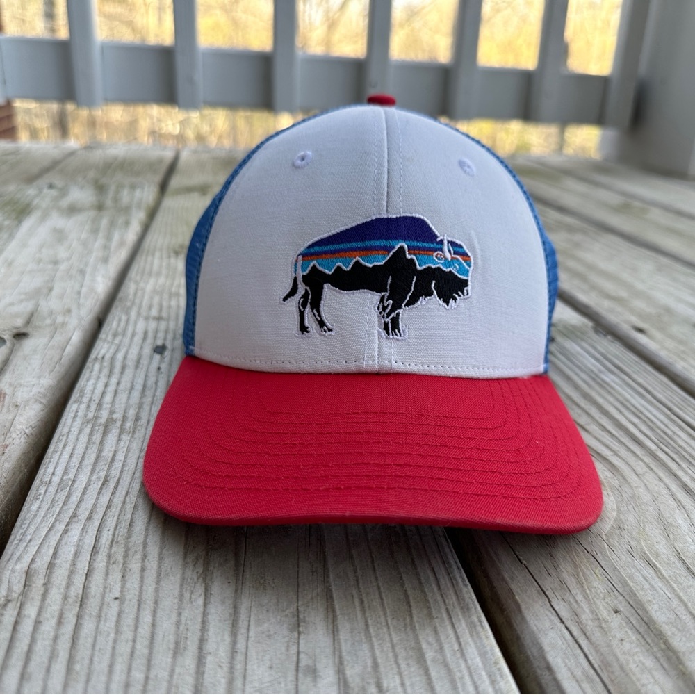 Patagonia Fitz Roy bison